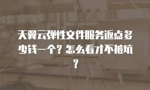 天翼云弹性文件服务返点多少钱一个？怎么看才不被坑？