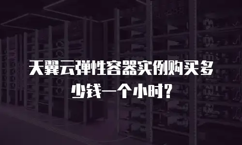 天翼云弹性容器实例购买多少钱一个小时？