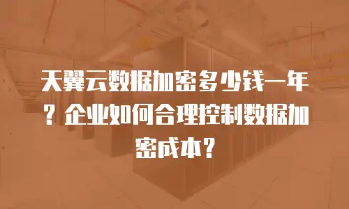 天翼云数据加密多少钱一年？企业如何合理控制数据加密成本？