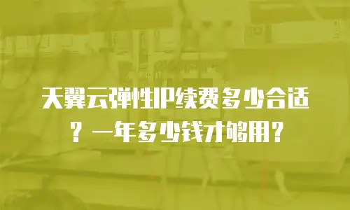 天翼云弹性IP续费多少合适？一年多少钱才够用？