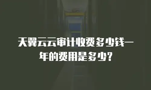 天翼云云审计收费多少钱一年的费用是多少？