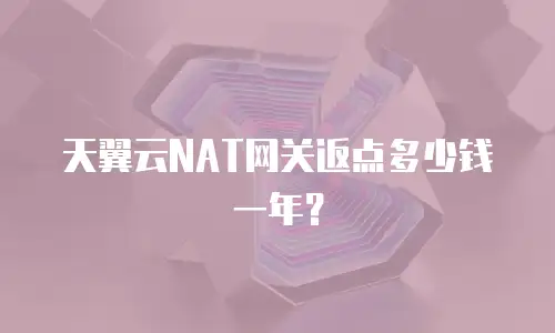 天翼云NAT网关返点多少钱一年？