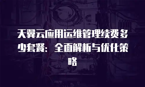 天翼云应用运维管理续费多少套餐：全面解析与优化策略