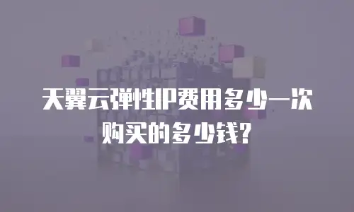 天翼云弹性IP费用多少一次购买的多少钱？