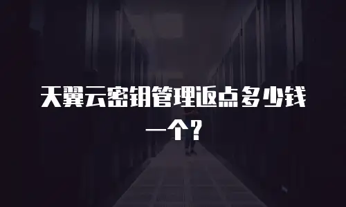 天翼云密钥管理返点多少钱一个？