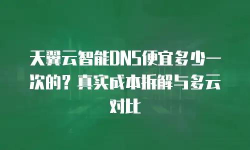 天翼云智能DNS便宜多少一次的？真实成本拆解与多云对比