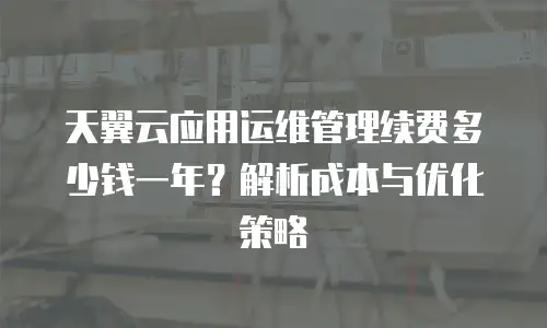 天翼云应用运维管理续费多少钱一年？解析成本与优化策略