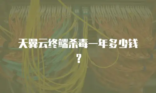 天翼云终端杀毒一年多少钱？