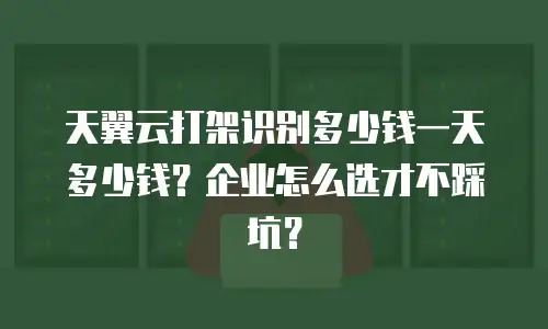 天翼云打架识别多少钱一天多少钱？企业怎么选才不踩坑？