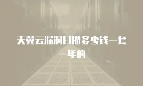 天翼云漏洞扫描多少钱一套一年的