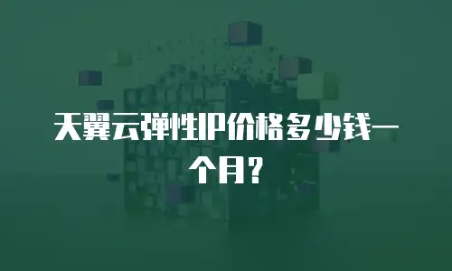 天翼云弹性IP价格多少钱一个月？