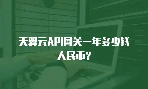 天翼云API网关一年多少钱人民币？