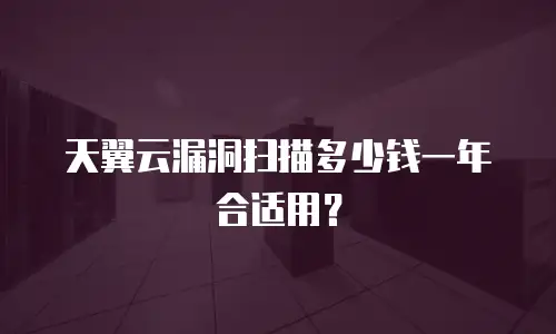 天翼云漏洞扫描多少钱一年合适用？
