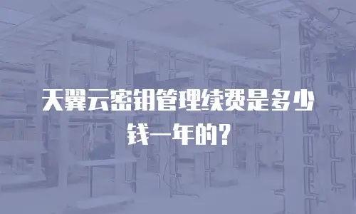 天翼云密钥管理续费是多少钱一年的？