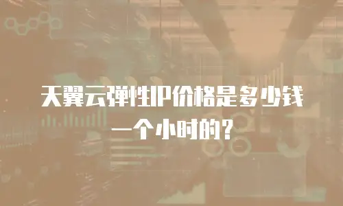 天翼云弹性IP价格是多少钱一个小时的？