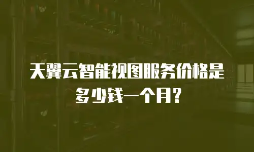 天翼云智能视图服务价格是多少钱一个月？