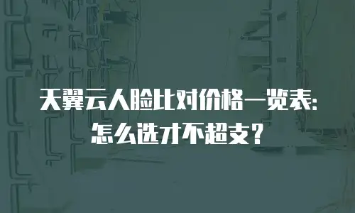 天翼云人脸比对价格一览表：怎么选才不超支？