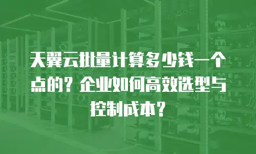 天翼云批量计算多少钱一个点的？企业如何高效选型与控制成本？