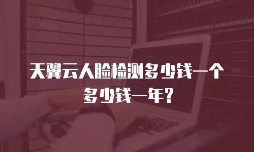 天翼云人脸检测多少钱一个多少钱一年？