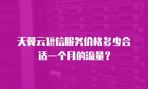 天翼云短信服务价格多少合适一个月的流量？
