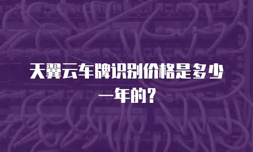 天翼云车牌识别价格是多少一年的？