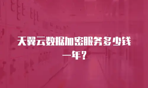 天翼云数据加密服务多少钱一年？