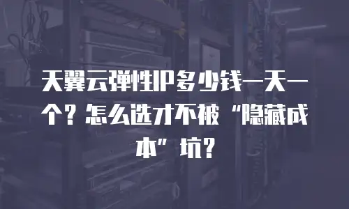 天翼云弹性IP多少钱一天一个？怎么选才不被&ldquo;隐藏成本&rdquo;坑？