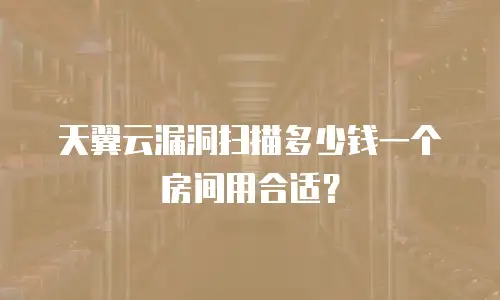 天翼云漏洞扫描多少钱一个房间用合适？