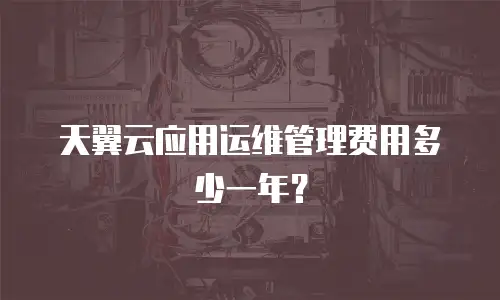 天翼云应用运维管理费用多少一年？