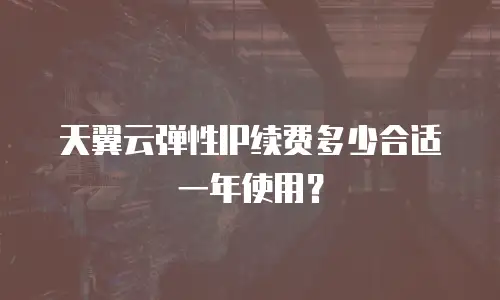 天翼云弹性IP续费多少合适一年使用？