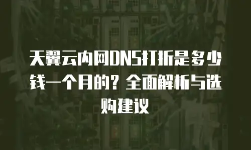 天翼云内网DNS打折是多少钱一个月的？全面解析与选购建议