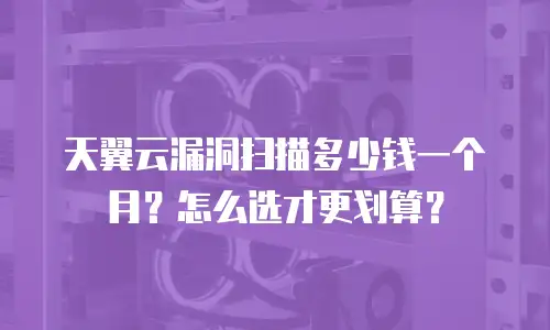 天翼云漏洞扫描多少钱一个月？怎么选才更划算？