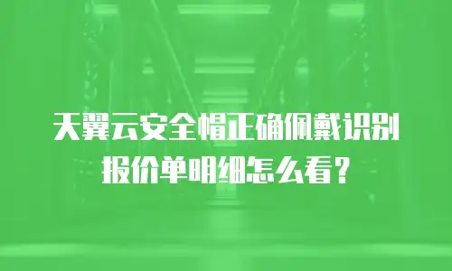 天翼云安全帽正确佩戴识别报价单明细怎么看？