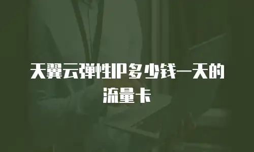 天翼云弹性IP多少钱一天的流量卡