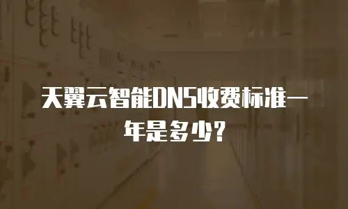 天翼云智能DNS收费标准一年是多少？