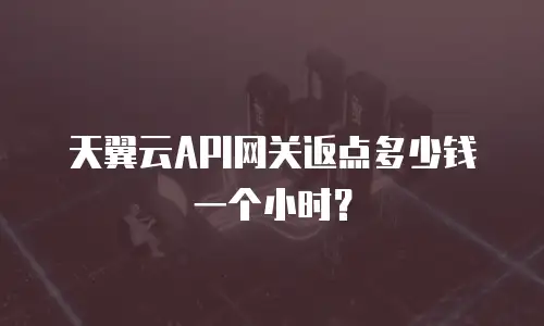 天翼云API网关返点多少钱一个小时？
