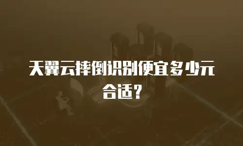 天翼云摔倒识别便宜多少元合适？