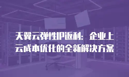 天翼云弹性IP返利：企业上云成本优化的全新解决方案