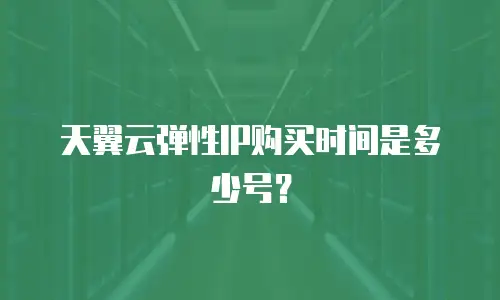 天翼云弹性IP购买时间是多少号？