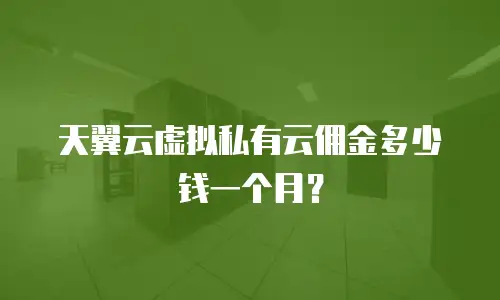 天翼云虚拟私有云佣金多少钱一个月？