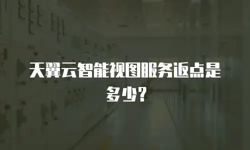 天翼云智能视图服务返点是多少？