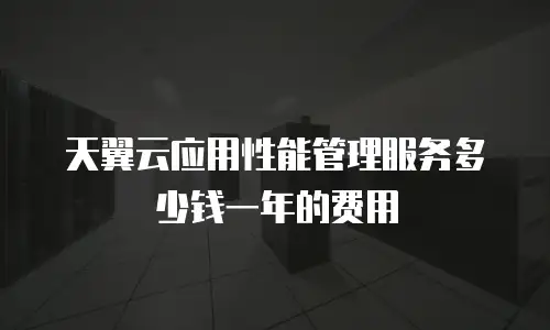 天翼云应用性能管理服务多少钱一年的费用