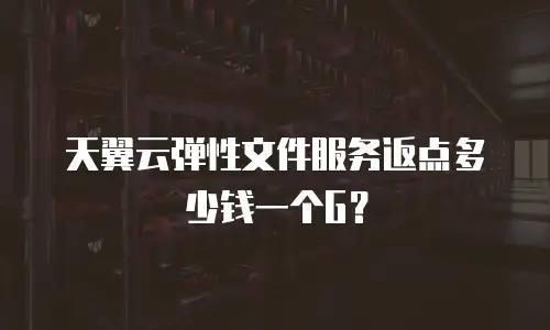 天翼云弹性文件服务返点多少钱一个G？