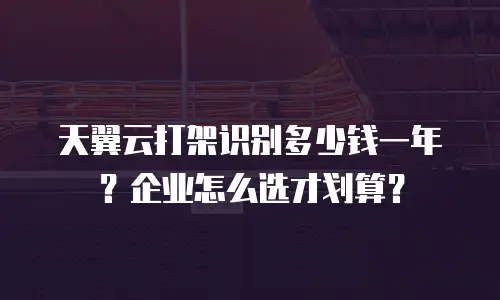 天翼云打架识别多少钱一年？企业怎么选才划算？
