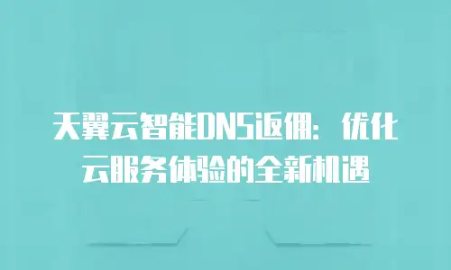 天翼云智能DNS返佣：优化云服务体验的全新机遇