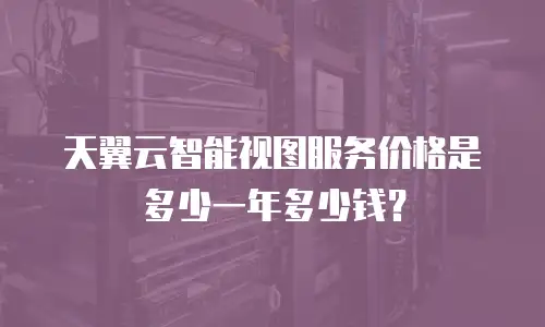 天翼云智能视图服务价格是多少一年多少钱？