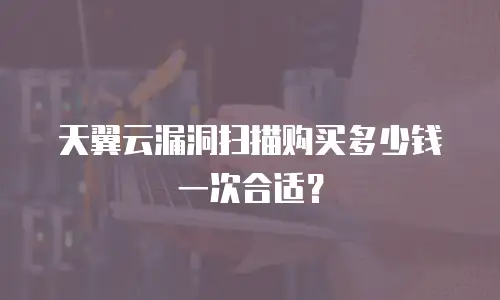 天翼云漏洞扫描购买多少钱一次合适？
