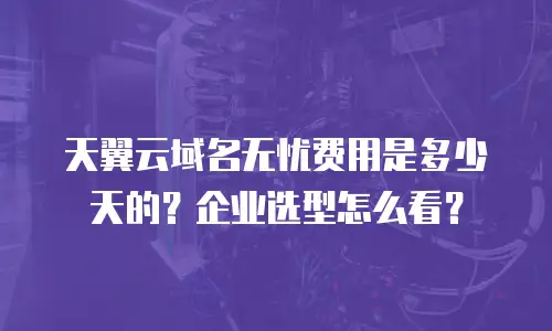 天翼云域名无忧费用是多少天的？企业选型怎么看？