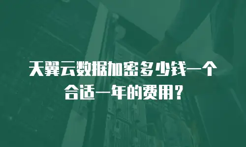 天翼云数据加密多少钱一个合适一年的费用？