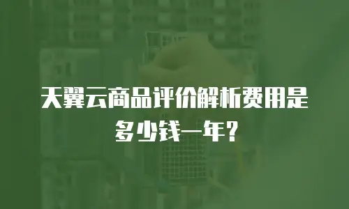 天翼云商品评价解析费用是多少钱一年？